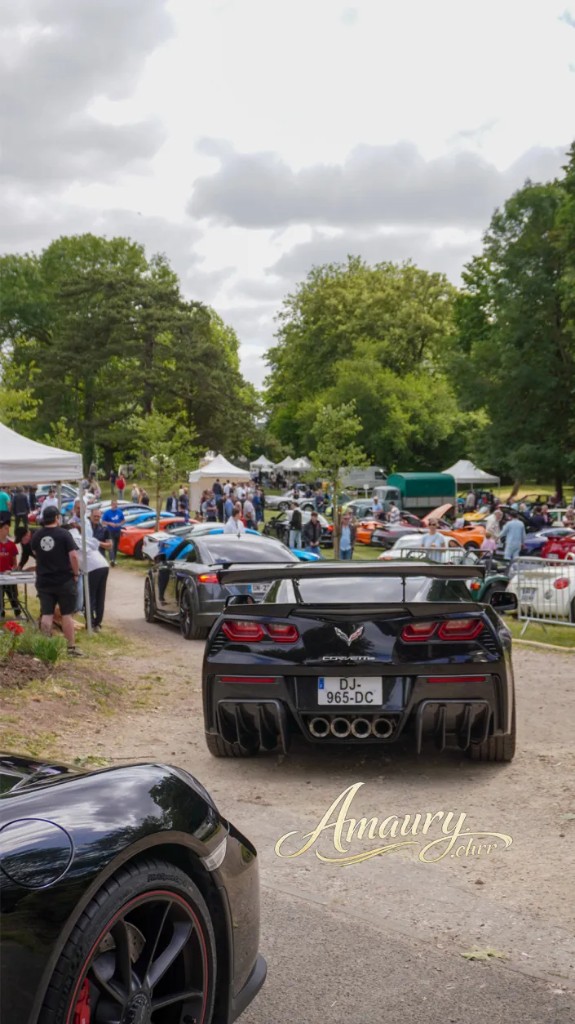 Corvette