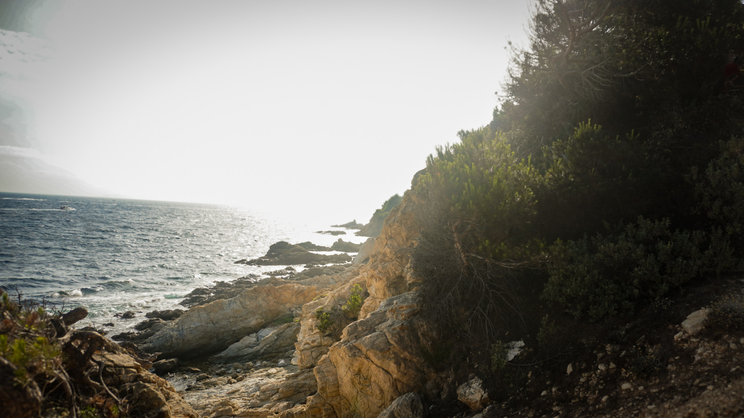 Côte rocheuse en bord de mer